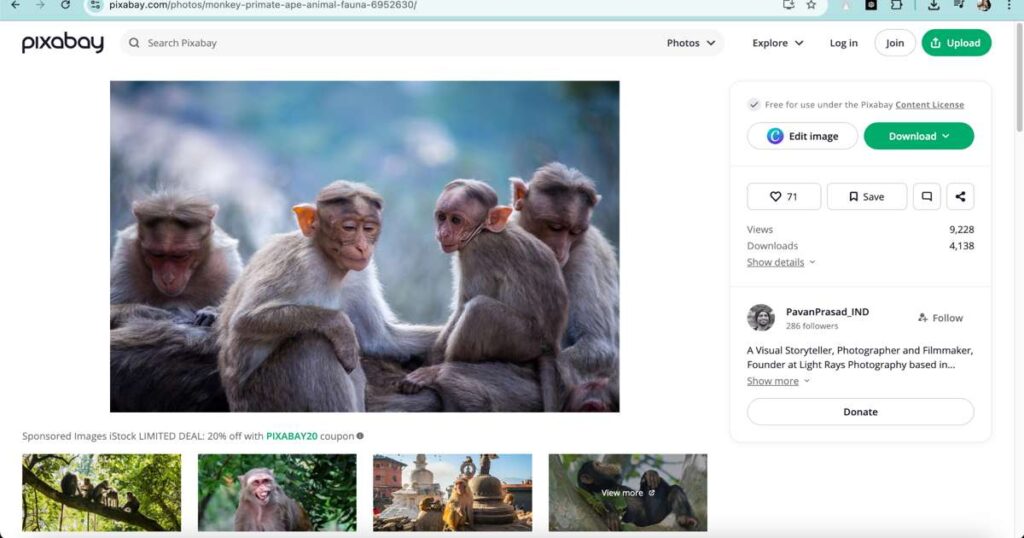 "AI-generated monkey character image selection for video creation"